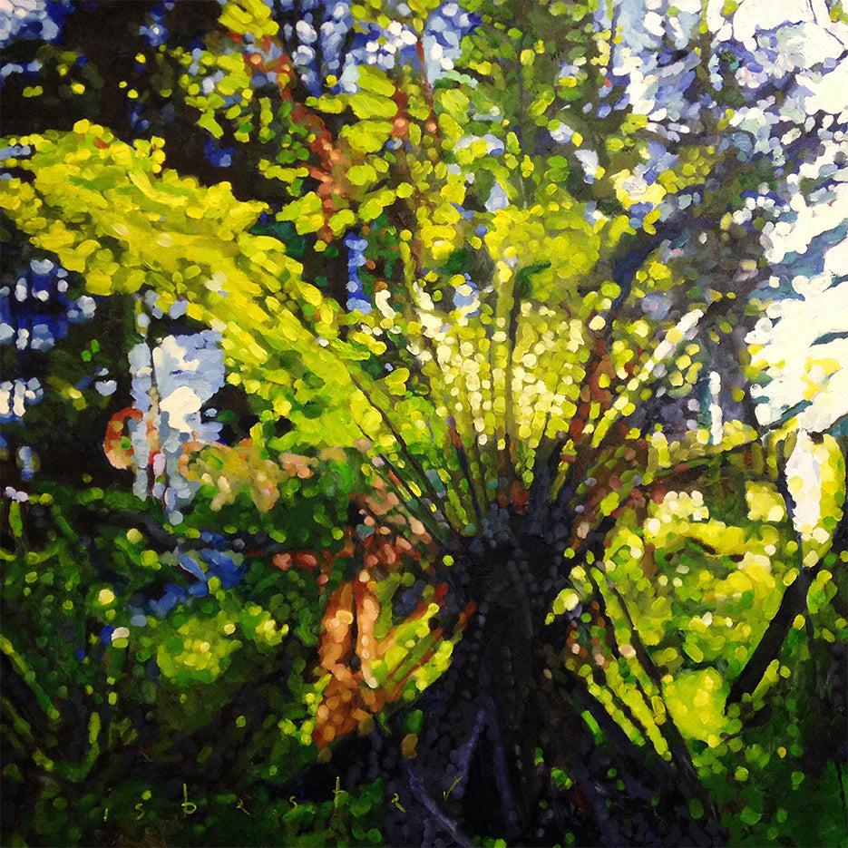 Fern Tree