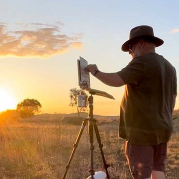 Plein Air Painting Workshops -Newbridge Spring into Art Festival