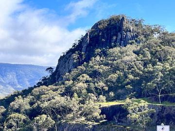 Grampians Brushes 2025