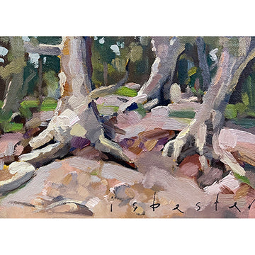 Arkaba Creek Trees (5"x 7")