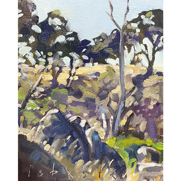 Cowra Rocks (8"x 10")