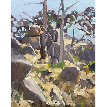 The Echidna's Range (11"x 14")