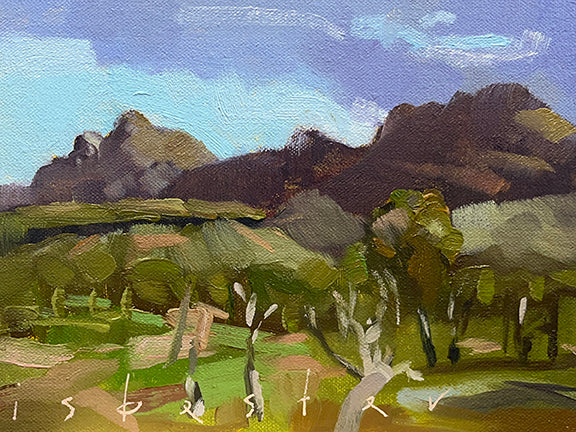 Wilpena Morning (6"x 8")