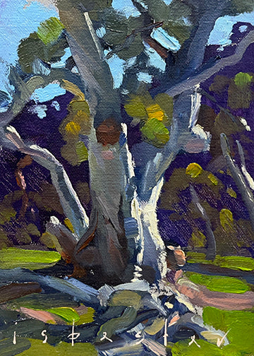 Discarded Limb (5"x 7")