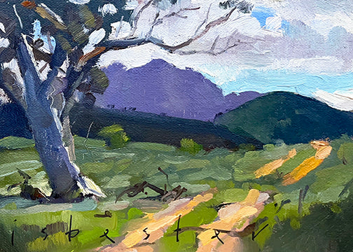 Track to Airstrip (5"x 7")