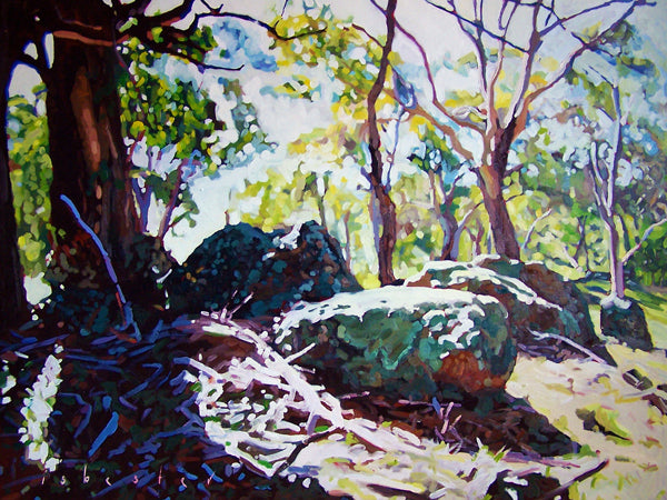 Moss and Rocks | Canvas Print