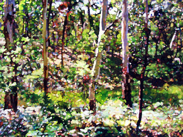 Neville Forest | Canvas Print