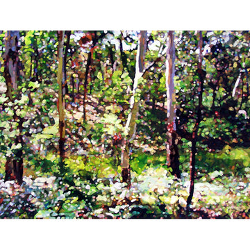 Neville Forest | Fine Art Print