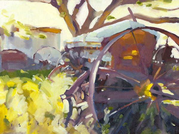 Sunshine and Cedar | Fine Art Print