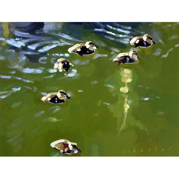 Ducklings | Fine Art Print