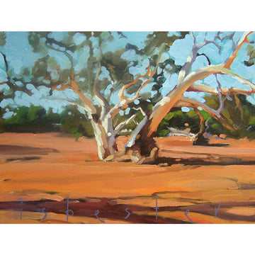 Silverton River Gum | Fine Art Print