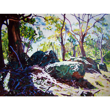 Moss and Rocks | Canvas Print