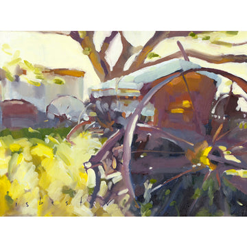 Sunshine and Cedar | Fine Art Print