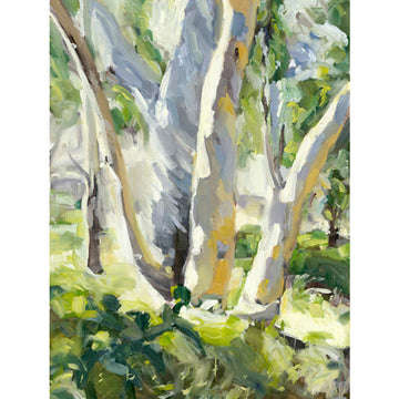 Nyrang Trees | Fine Art Print