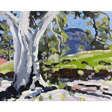Near Brachina (8"x 10")