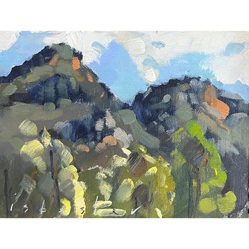 Grampians from The Valley (6"x 8")
