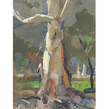 Tree Study - Brushes (6"x 8")