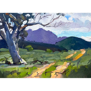 Track to Airstrip (5"x 7")